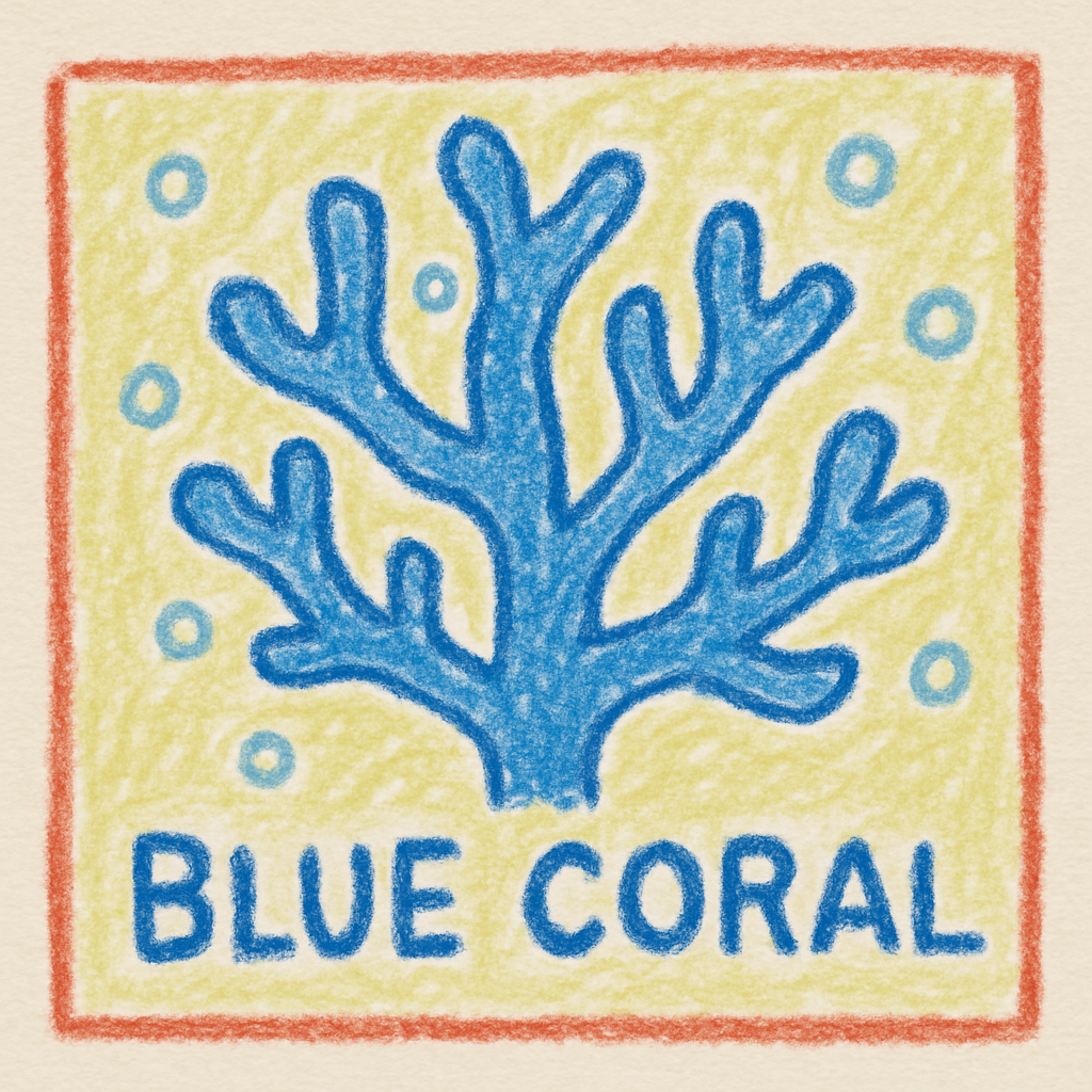 基本情報|アオサンゴ(Blue Coral)